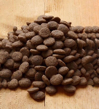 Produktbild f�r 'ACTIVE PLAIN'