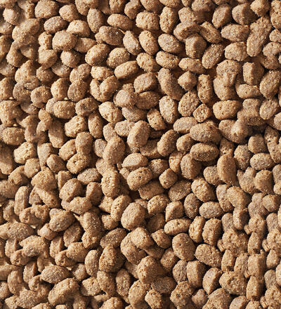 Produktbild f�r 'Lamb Pack Mini'